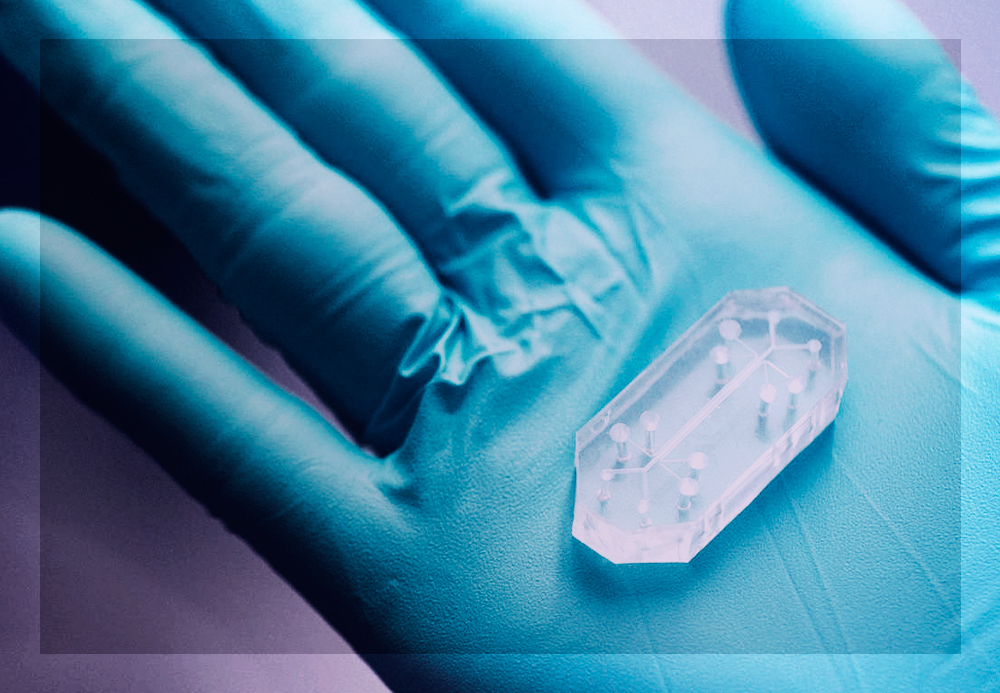 Instituto americano lança chip que promete dar um fim aos testes em animais